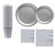 Silver Paper Tableware Kit for 20 Guests